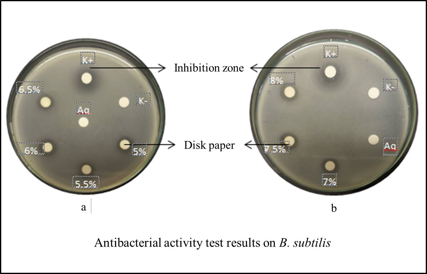 Antibacterial activity test results on B. subtilis