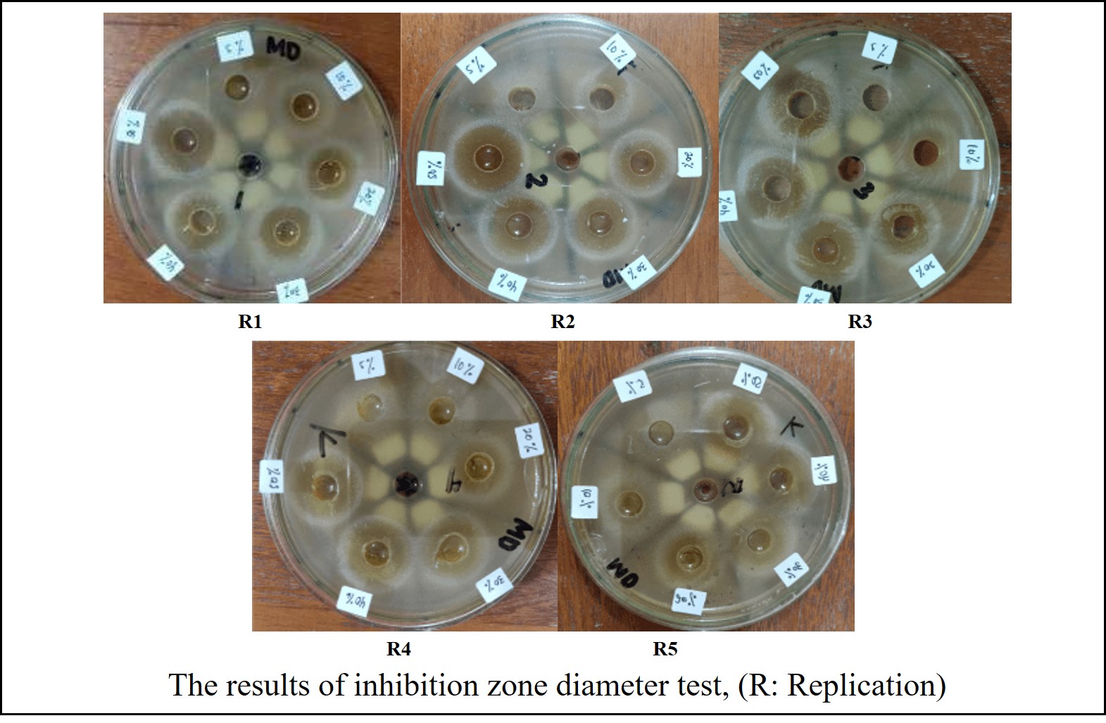 The results of inhibition zone diameter test, (R: Replication)
